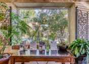 Thumbnail 9 of 25 - a table with plants in front of a window