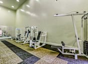 Thumbnail 32 of 43 - a row of weights machines in a gym