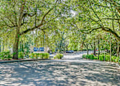 Thumbnail 4 of 25 - A tree-lined street with a sign that says Springwood.