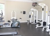 Thumbnail 11 of 17 - Fitness Center With Modern Equipment at Villa Valencia Apartments, Orlando, Florida