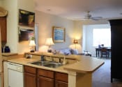 Thumbnail 1 of 17 - Stainless Steel Sink With Faucet In Kitchen at Villa Valencia Apartments, Orlando, Florida