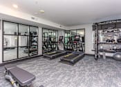 Thumbnail 24 of 28 - A gym with treadmills, weights, and exercise balls.
