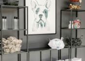Thumbnail 33 of 39 - Shelving in the pet spa room with towels and a painting of a dog at The Merchant Apartments, Charleston, SC, 29403