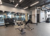 Thumbnail 45 of 56 - Strength Equipment at One Plantation in Plantation, FL 33324