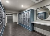 Thumbnail 25 of 30 - Mail Room at Avant at the Arboretum Apartments in Lisle, IL 60532