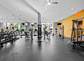 Thumbnail 18 of 42 - A gym with a variety of equipment including treadmills, weights, and exercise machines.