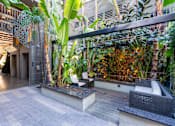 Thumbnail 39 of 55 - Patio at Misora Apartments, San Jose, 95128