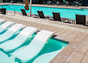 Thumbnail 25 of 55 - Pool with white sun loungers at Misora Apartments, San Jose, CA