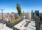 Thumbnail 19 of 44 - Roof top at 903 Peachtree, Atlanta, 30309