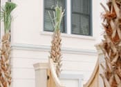 Thumbnail 21 of 39 - Coastal style-wooden fence with surrounding palm trees at The Merchant Apartments, South Carolina 29403