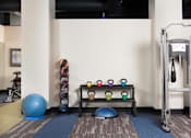 Thumbnail 8 of 21 - A gym with a blue exercise ball, a rack of kettlebells, and a bench with kettlebells on it at Skye at Belltown Apartments, Seattle, 98121