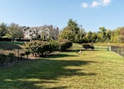 Thumbnail 30 of 38 - Fenced dog park with grass and trees at Wyndchase Aspen Grove Apartments, Franklin, Tennessee