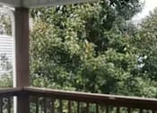 Thumbnail 16 of 20