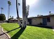 Thumbnail 4 of 4 - A house with a blue door is surrounded by green grass and palm trees.