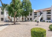 Thumbnail 8 of 17 - a courtyard with a tree in front of a building at Tides at Mesa, Mesa, 85204