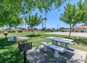Thumbnail 11 of 17 - two picnic tables and a grill in a park at Tides at Mesa, Mesa, AZ, 85204