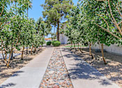 Thumbnail 13 of 28 - A pathway with trees on both sides and a river rock center at Tides on McDowell, Phoenix, Arizona 85035