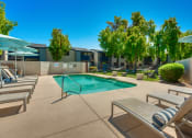 Thumbnail 7 of 13 - a swimming pool with lounge chairs and umbrellas and buildings in the background at Connect on Northern, Glendale, AZ