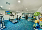 Thumbnail 9 of 13 - a gym with cardio equipment and weights on a blue rug at Connect on Northern, Glendale Arizona