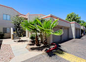 Thumbnail 84 of 94 - A palm tree is in front of a building.