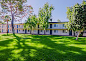Thumbnail 23 of 25 - A tree in a grassy area in front of apartment buildings.