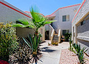 Thumbnail 80 of 94 - A red car is parked in front of a building with a palm tree in the foreground.