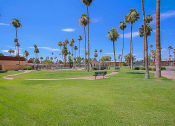 Thumbnail 7 of 21 - a park with palm trees and a bench