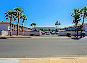 Thumbnail 9 of 30 - A parking lot with palm trees and a building in the background.