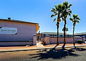 Thumbnail 13 of 30 - A building with a sign that reads "NOI TECH" and a phone number is surrounded by palm trees.