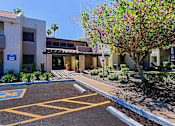 Thumbnail 26 of 36 - A parking lot in front of a building with a tree and bushes.