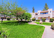 Thumbnail 73 of 94 - A tree in a grassy area in front of a building.