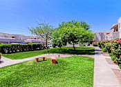 Thumbnail 72 of 94 - A park with a bench and a tree in the middle of a grassy area.