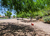 Thumbnail 61 of 94 - A playground with a swing set and a picnic table under a tree.