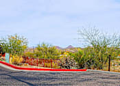 Thumbnail 16 of 21 - A desert landscape with a red curb.