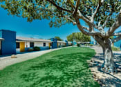Thumbnail 16 of 54 - Lawn Area at Connect on University, Arizona