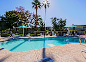 Thumbnail 20 of 25 - A swimming pool surrounded by palm trees and lounge chairs.