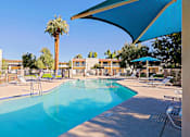 Thumbnail 19 of 25 - A pool surrounded by chairs and a palm tree.