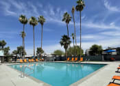 Thumbnail 19 of 24 - a swimming pool with palm trees in the background