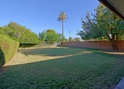 Thumbnail 10 of 16 - a backyard with green grass and a palm tree