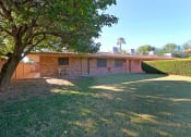Thumbnail 8 of 16 - a house with a yard and a tree