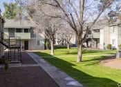 Thumbnail 5 of 17 - our apartments have a spacious courtyard with trees and grass