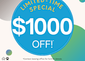 Thumbnail 9 of 15 - A promotional image for Sycamore Square Apartments offering a $1000 discount.