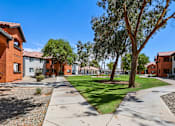 Thumbnail 17 of 17 - A sunny day in a residential area with houses and trees.