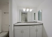 Thumbnail 10 of 32 - a bathroom with a sink and a mirror and a toilet