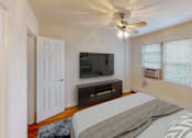 Thumbnail 7 of 16 - bedroom with bed, nightstands, dresser, tv, ceiling fan and large windows at alpha house apartments in washington dc