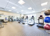 Thumbnail 19 of 21 - fitness center with exercise balls, cardio machines and large windows at archer park apartments in southeast Washington dc