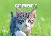 Thumbnail 15 of 17 - a kitten playing in the grass with the caption cat friendly