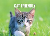 Thumbnail 25 of 27 - a kitten playing in the grass with the caption cat friendly