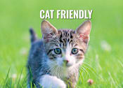 Thumbnail 20 of 23 - A small kitten with the text "CAT FRIENDLY" above it.