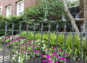 Thumbnail 19 of 25 - a garden of flowers behind a wrought iron fence